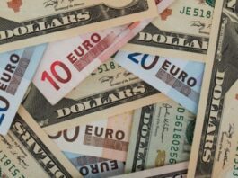 El euro superó los Bs.300 y el dólar oficial subió 1,20% para ubicarse en Bs.257,93 El euro superó los Bs.300 y el dólar oficial subió 1,20% para ubicarse en Bs.257,93