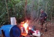 Amazonas | FANB destruyó equipos de minería ilegal ocultos en la selva Amazonas | FANB destruyó materiales y equipos de minería ilegal ocultos en la selva