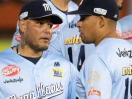 Semana decisiva en la LVBP: Estos serán los juegos de hoy 10 de diciembre Semana decisiva en la LVBP: Estos serán los juegos de hoy 10 de diciembre