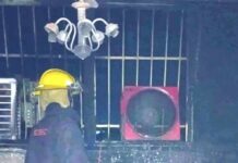 Puerto La Cruz | Hombre y su perro murieron durante incendio Puerto La Cruz | Hombre y su perro murieron durante incendio