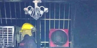 Puerto La Cruz | Hombre y su perro murieron durante incendio Puerto La Cruz | Hombre y su perro murieron durante incendio