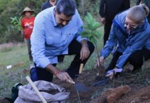 Maduro: Venezuela será potencia productora y exportadora de alimentos orgánicos Nicolás Maduro, reafirmó la visión estratégica de convertir al país en una gran potencia productora y exportadora de alimentos, con énfasis en la producción orgánica y libre de químicos