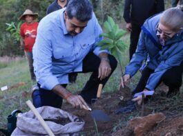 Maduro: Venezuela será potencia productora y exportadora de alimentos orgánicos Nicolás Maduro, reafirmó la visión estratégica de convertir al país en una gran potencia productora y exportadora de alimentos, con énfasis en la producción orgánica y libre de químicos
