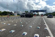 Maicillal | Imputado hombre detenido con marihuana en su camioneta Imputado hombre que llevaba 86 kilos de marihuana en su camioneta