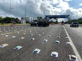 Maicillal | Imputado hombre detenido con marihuana en su camioneta Imputado hombre que llevaba 86 kilos de marihuana en su camioneta