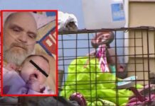 Abuelo y bebé murieron tras ataque de siete perros pitbull Abuelo y bebé murieron tras ataque de siete perros pitbull