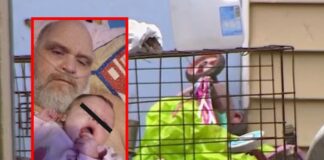 Abuelo y bebé murieron tras ataque de siete perros pitbull Abuelo y bebé murieron tras ataque de siete perros pitbull