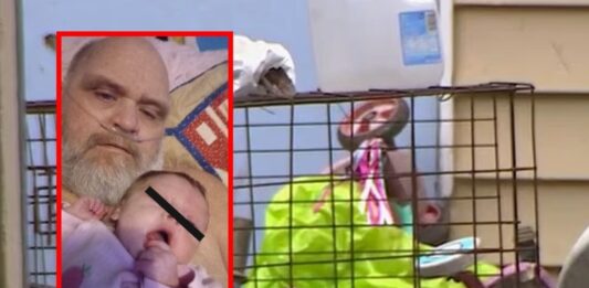 Abuelo y bebé murieron tras ataque de siete perros pitbull Abuelo y bebé murieron tras ataque de siete perros pitbull
