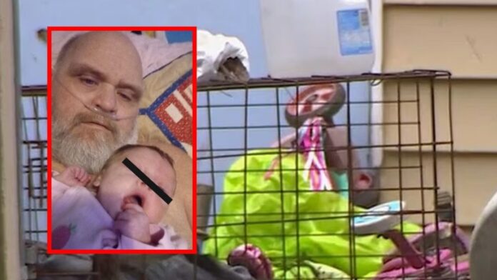 Abuelo y bebé murieron tras ataque de siete perros pitbull