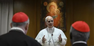 Papa León clama contra la «plaga» de los juegos de apuestas Papa León clama contra la "plaga" de los juegos de apuestas