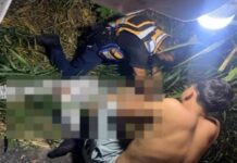 Un muerto y tres heridos en accidente entre motos