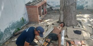 Punto Fijo| Adolescente se fracturó ambos brazos tras caer de una mata de mango