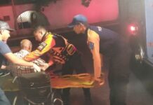 Arrollado adulto mayor en Casacoima