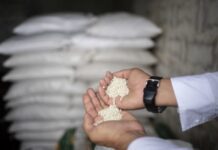 Argus: Venezuela apunta a reactivar exportaciones de urea Argus: Venezuela apunta a reactivar exportaciones de urea