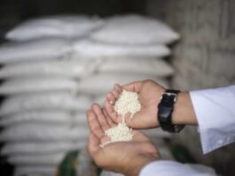 Argus: Venezuela apunta a reactivar exportaciones de urea Argus: Venezuela apunta a reactivar exportaciones de urea
