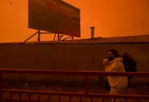 Chile declara estado de catástrofe en dos regiones tras devastadores incendios forestales Chile declara estado de catástrofe en dos regiones tras devastadores incendios forestales