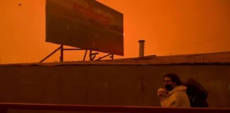 Chile declara estado de catástrofe en dos regiones tras devastadores incendios forestales Chile declara estado de catástrofe en dos regiones tras devastadores incendios forestales