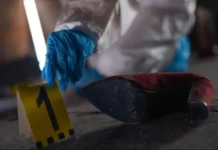 Colombia | Asesinan a madre falconiana horas antes de su regreso a Venezuela Colombia | Asesinan a madre falconiana horas antes de su regreso a Venezuela