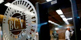 Divisas llegarán al mercado cambiario a través del BCV y la banca privada