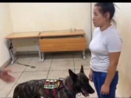 Vídeo| Mujeres intentaron ingresar cocaína a Ciudad Penitenciaria