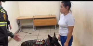 Vídeo| Mujeres intentaron ingresar cocaína a Ciudad Penitenciaria
