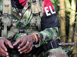 Petro y Trump acordaron acciones conjuntas contra la guerrilla del ELN Petro y Trump acordaron acciones conjuntas contra la guerrilla del ELN