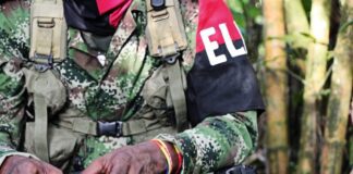 Petro y Trump acordaron acciones conjuntas contra la guerrilla del ELN Petro y Trump acordaron acciones conjuntas contra la guerrilla del ELN