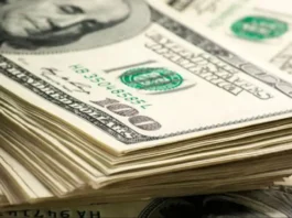 Estatus de la subasta de dólares a primeras horas de hoy 29 de enero Estatus de la subasta de dólares a primeras horas de hoy 29 de enero