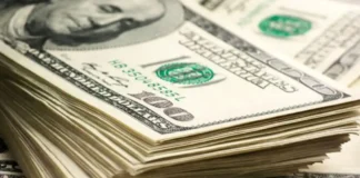 Estatus de la subasta de dólares a primeras horas de hoy 29 de enero Estatus de la subasta de dólares a primeras horas de hoy 29 de enero