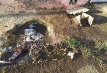 Entre excrementos conviven vecinos de Curazaito, Las Panelas y La Guinea