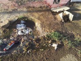 Entre excrementos conviven vecinos de Curazaito, Las Panelas y La Guinea