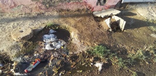 Entre excrementos conviven vecinos de Curazaito, Las Panelas y La Guinea