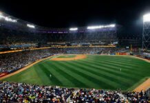 LVBP postergará los juegos hasta nuevo aviso LVBP postergará los juegos hasta nuevo aviso