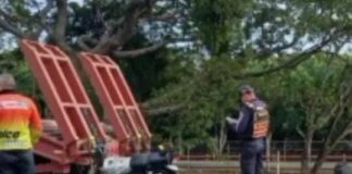 Militar paraguanero falleció en accidente de tránsito