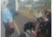 Motorizados colisionaron con un ovejo