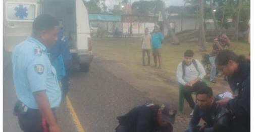 Motorizados colisionaron con un ovejo