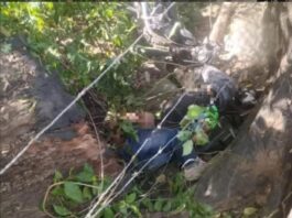 Motorizados cayeron en un barranco y perdieron la vida