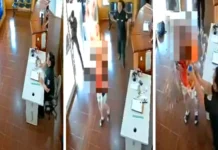 Argentina | Mujer entró a una comisaría y se prendió fuego Mujer entró a una comisaría y se prendió fuego