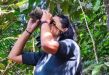 Falcón expande su oferta con dos nuevas rutas turísticas validadas Falcón expande su oferta con dos nuevas rutas turísticas validadas