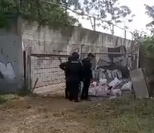 Detenido sujeto por agredir sexualmente a una perrita en Maracay
