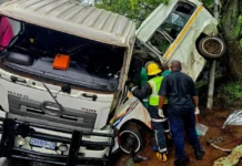 Sudáfrica | Choque entre minibús y camión causa al menos 11 muertos Sudáfrica | Choque entre minibús y camión causa al menos 11 muertos