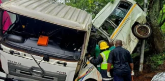 Sudáfrica | Choque entre minibús y camión causa al menos 11 muertos Sudáfrica | Choque entre minibús y camión causa al menos 11 muertos