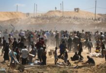 UNICEF denuncia más de 100 niños muertos en Gaza desde el alto al fuego UNICEF denuncia más de 100 niños muertos en Gaza desde el alto al fuego