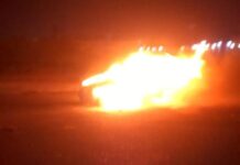 Punto Fijo| Vehículo ardió en llamas