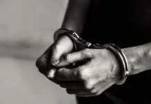 Miami | Regresan avión para capturar a sospechoso de tiroteo en cafetería Miami | Regresan avión para capturar a sospechoso de tiroteo en cafetería