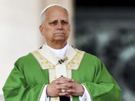 Papa León XIV advierte que la guerra “ha vuelto a estar de moda” Papa León XIV advierte que la guerra “ha vuelto a estar de moda”