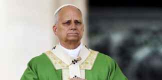 Papa León XIV advierte que la guerra “ha vuelto a estar de moda” Papa León XIV advierte que la guerra “ha vuelto a estar de moda”