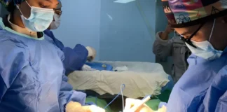 Estos son los retos que deberá afrontar la nueva ministra de Salud Estos son los retos que deberá afrontar la nueva ministra de Salud