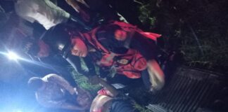 Buchivacoa| Mujer falleció en accidente de tránsito