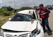 Municipio Silva| Vehículo chocó con una vaca